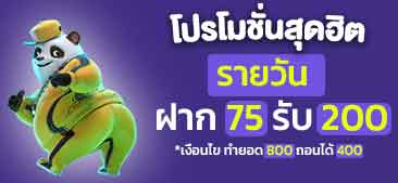 โปรโมชั่นรายวัน