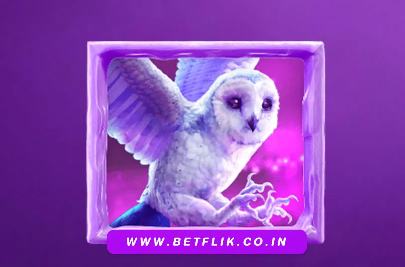 Betflik