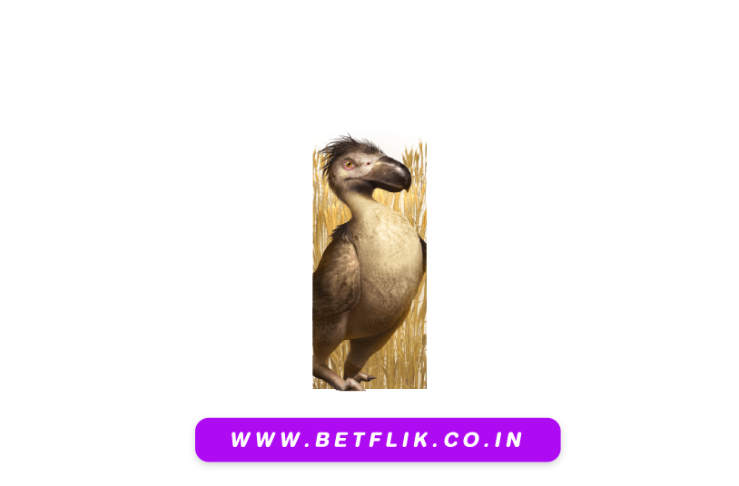 Betflikall