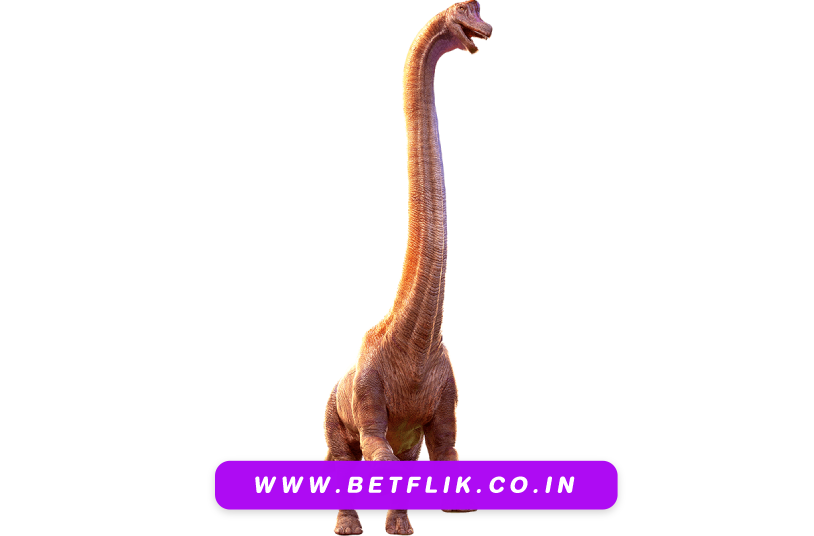 ภาคเล็กเว็บBF – 2026-07-09T194139.082 Betflikworld