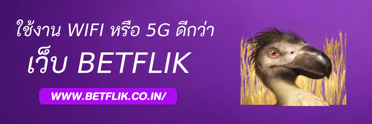 Betfliknet ใช้งานผ่าน Wi-Fi หรือ 5G ดีกว่ากัน